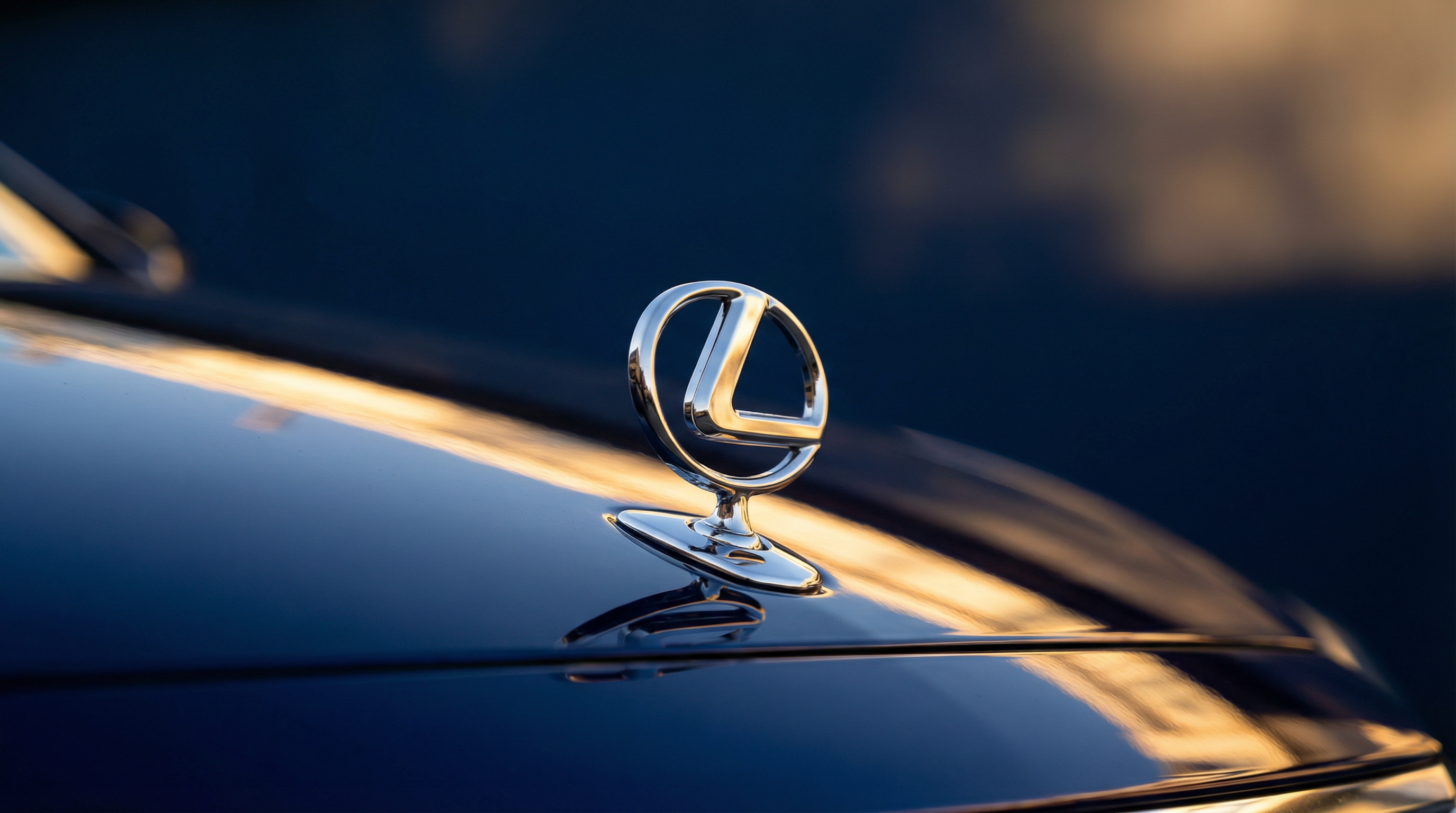 Contact AlFenjan Shipping